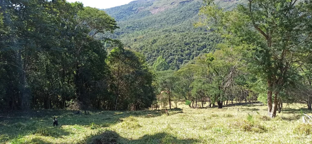 Fazendinha à venda, 20 hectares, por R$1.200.000,00 - Caeté- MG